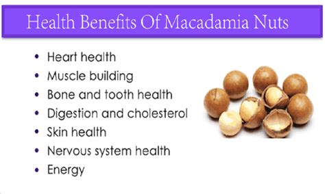 Nutritional Benefits Of Macadamia Nuts Research And Studies
