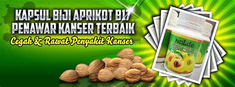 Khas untuk kewanitaan, biji aprikot berkhasiat untuk: Sihat Menawan Corner: VITAMIN B17 PENAWAR KANSER TERBAIK
