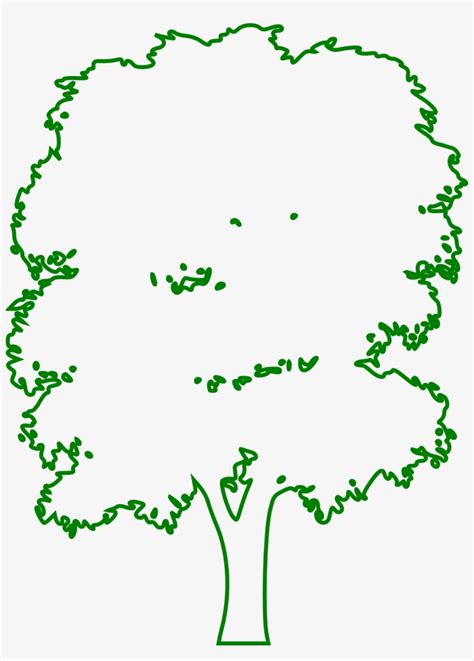Green Outline Drawing Of A Tree Green Tree Outline Free Transparent
