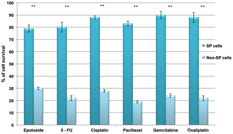 Liver Cancer Survival Rate With Chemotherapy Cancerwalls