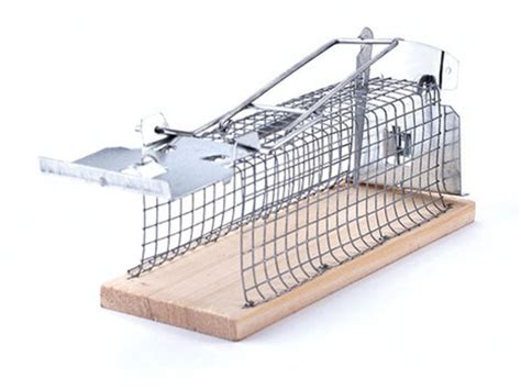 Supercat Rectangular Mouse Cage Trap Swissino