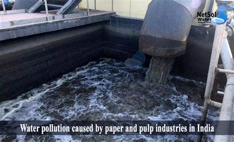 How To Solve Water Pollution Caused By Paper And Pulp Industries
