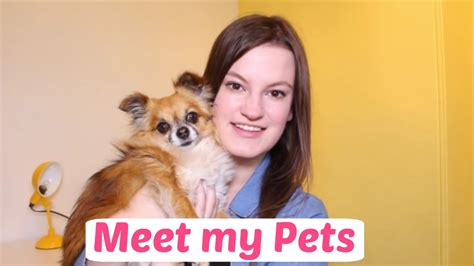 Meet My Pets Youtube