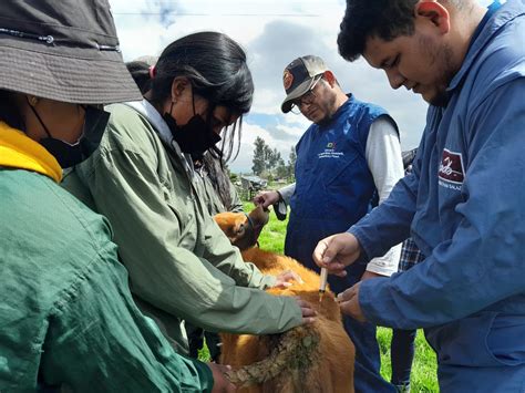 Estudiantes dan asistencia veterinaria en Mulaló Ecuador Noti