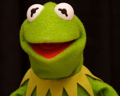Free Download Kermit The Frog Funny Face 2197x1463 For Your Desktop