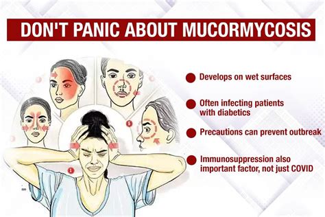 These molds live throughout the environment. How can you prevent mucormycosis, the latest 'fatal ...