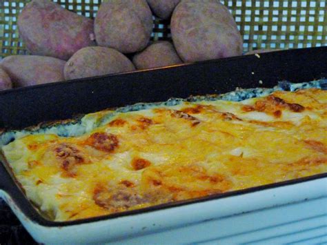 Hamburger pommes frites fast food. Kartoffelgratin #Rezept #Kartoffeln #Gratin #Auflauf # ...