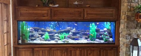 Room divider discover ideas about aquarium stand. Majestic® Stands and Canopies | Lifetime Aquariums