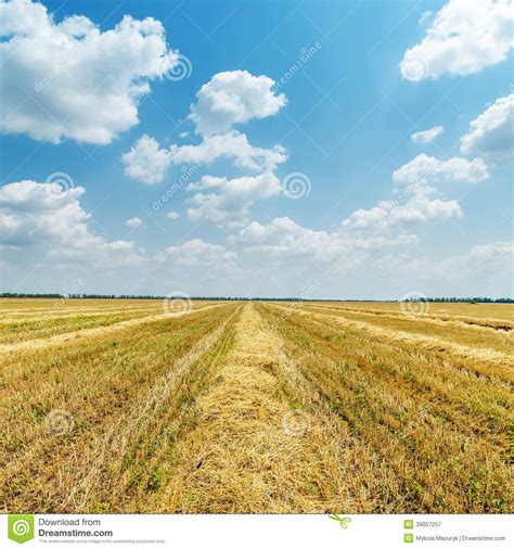 Agriculture Field After Harvesting And Clouds Stock Image Image Of