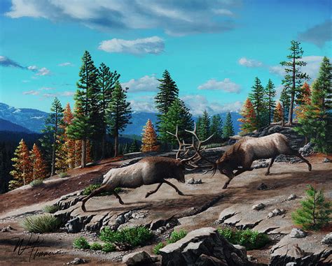 Rumble In The Rockies Bull Elk Fighting Oil Painting Painting By Wade