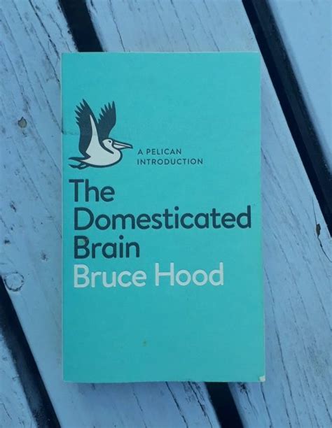 Book Review The Domesticated Brain By Bruce Hood Content Catnip