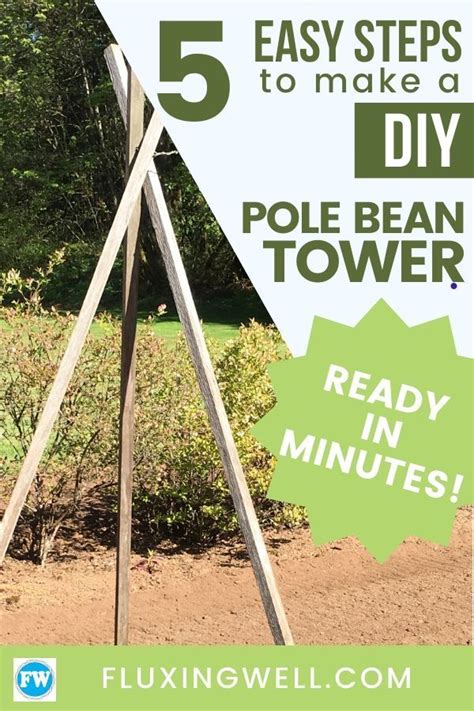 You can plant bush beans every two. Easy DIY Pole Bean Towers For Your Garden | Pole beans ...