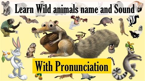 Learn Wild animals name and Sound With Pronunciation | Best Way To
