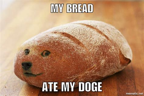 Funny Cat Memeago Memes Dog Bread