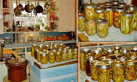 We've created a list of seven alternatives which all have their uses. Ginger Agave and Thai Curry Agave Pickles and Relishes ...