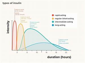Types Of Insulin Chart Duration Comparison And More Types Of