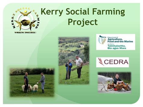 My name is aisling sharkey. Kerry social farming presentation by Aisling Sharkey - Issuu