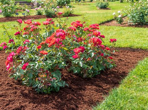 When Is The Best Time To Put Mulch In Flower Beds at Virginia Grant blog