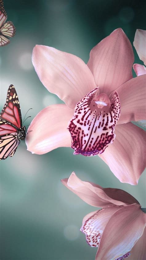 Orchids And Butterflies 1080x1920 Wallpaper