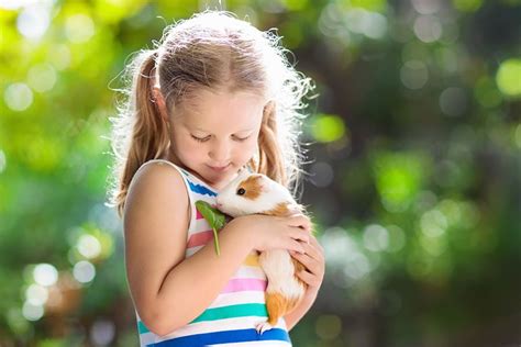 The Best Pets For Preschoolers And Elementary School Children 2 Paws