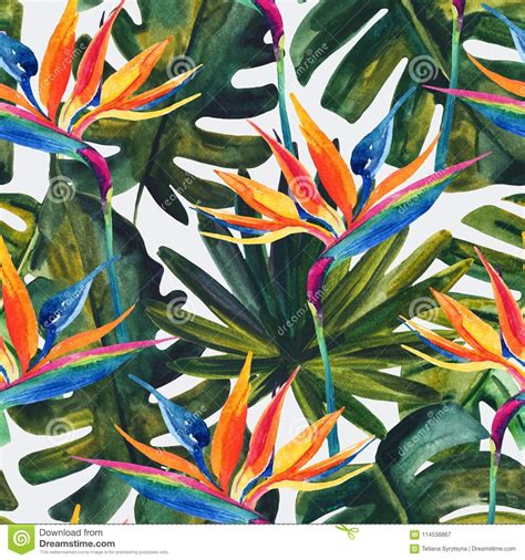 Oil painting southeast asia tropical plants and flowers wallpaper, tropical plants and vivid birds wall murals wall decor. Watercolor Tropical Seamless Pattern With Bird-of-paradise ...