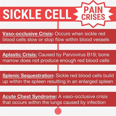 SICKLE CELL 101 — Vaso-occlusive crises are the most ...