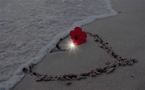 Download Amazing Love HD Wallpapers Gallery
