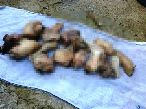 Bayi fiyat 1390 kumaş kesme makinesi lazer cnc köpük lazer kesme makinesi cam oyma lazer kesim makinesi promosyon. KISAH SEBENAR Mayat Bayi Dikerat 15 BAHAGIAN Di Johor Yang ...