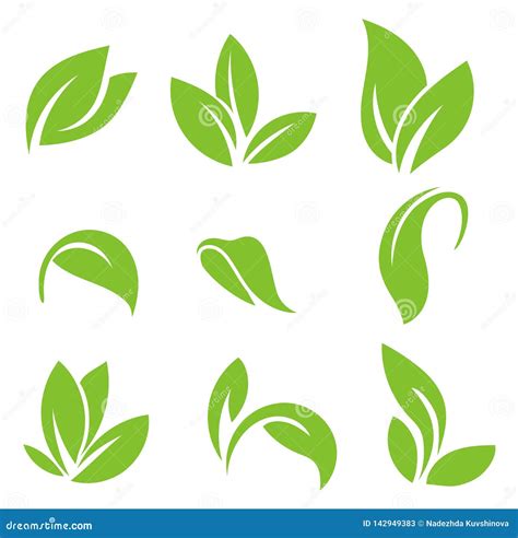 Leaves Icon Vector Set Isolated On White Background Various Shapes Of