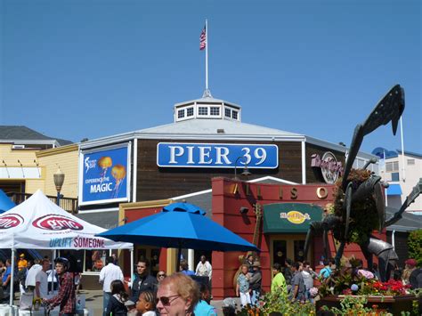 Pier 39 is one of the most popular amusement areas and tourist attractions located in the city of san francisco in california, the pacific coast of the usa. Share