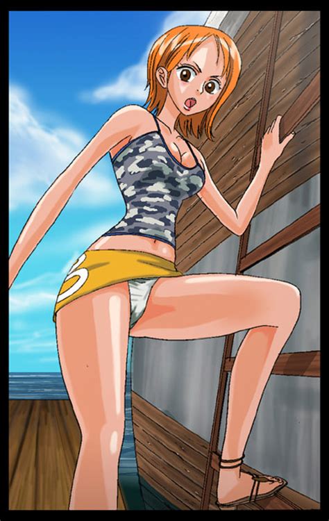 One Piece Nami Hentai Image