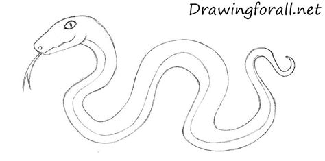 In today's drawing lesson for beginners we will show you how to draw a cartoon snake. How to Draw a Cartoon Snake | Drawingforall.net