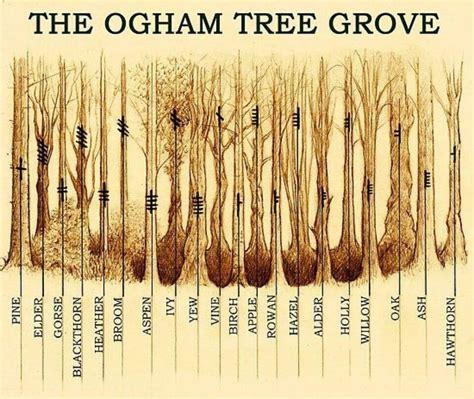 Ogham Symbols And Their Meaning A List Symbol Sage