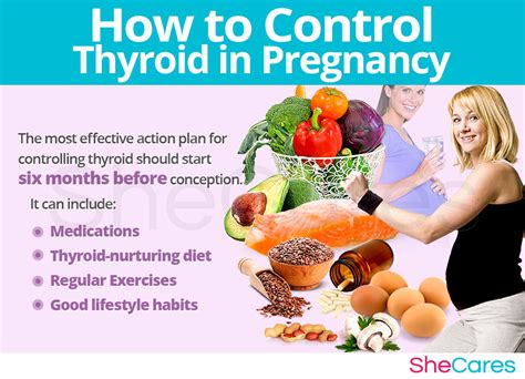 thyroid disease and getting pregnant shecares