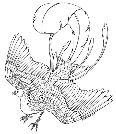 Phoenix Coloring Page Protol Colors