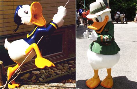10 Interesting Facts About Donald Duck Mental Itch