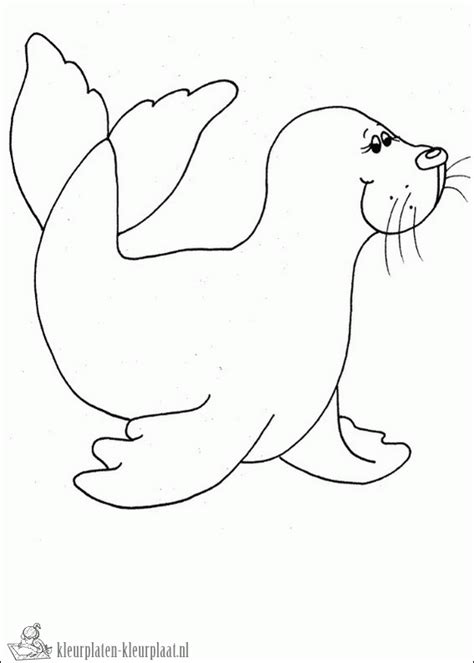 Kleurplaten zeehond kleurplatenkleurplaat.nl