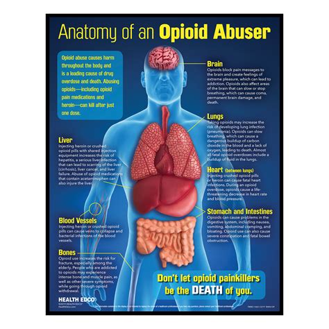 New Opioid Abuse Drug Education 3 D Display Health Edco