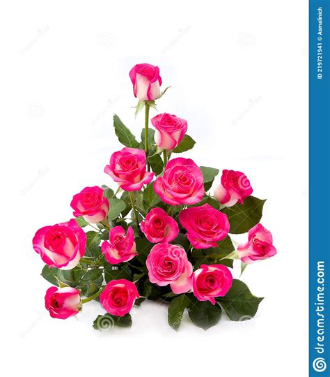 Beautiful Bouquet Pink Roses On A White Background With Space For Text