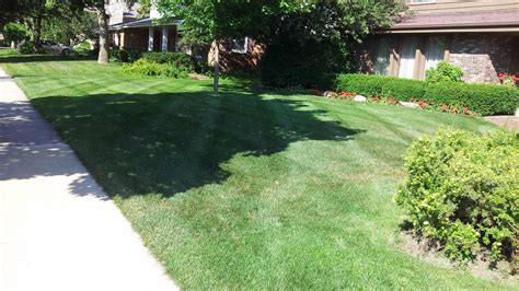 Clear Cut Lawn Services Landscaping