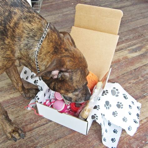 We did not find results for: Dog-Gone Goodie Get Well Soon Gift Box Full of Love ...