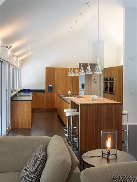 The vaulted ceiling created the illusion of a bigger space. Vaulted Ceiling Lighting | Houzz