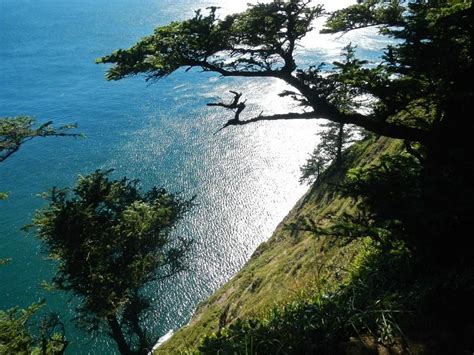 Jones creek campground is located northwest of cape lookout state park and is a good plan b if that spot is unavailable. CAPE LOOKOUT STATE PARK - Campground Reviews (Tillamook ...