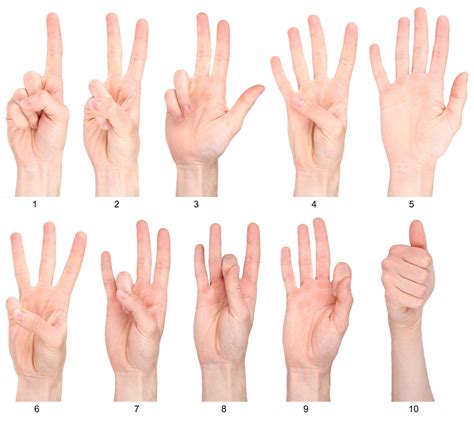 Sign Language Numbers Get Started With 1 20 Udemy Blog