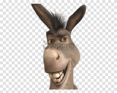 Free Donkey From Shrek Smiling Image With Donkey From Shrek Face