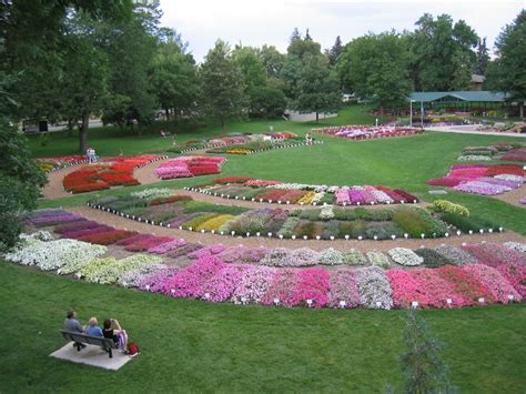 The best part of their greenery is the fact that the plants are grown from seed here, so the plants are already acclimated to the area. - Landscape Plants