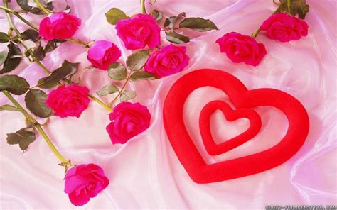 Love Flowers Images Wallpapers (50 Wallpapers) – Adorable Wallpapers