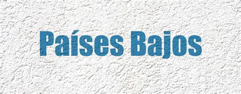 We keep house always with an eye on the future which helped us to get to the top of this industry sector during the last years. Países Bajos | Centro Interamericano de Administraciones ...