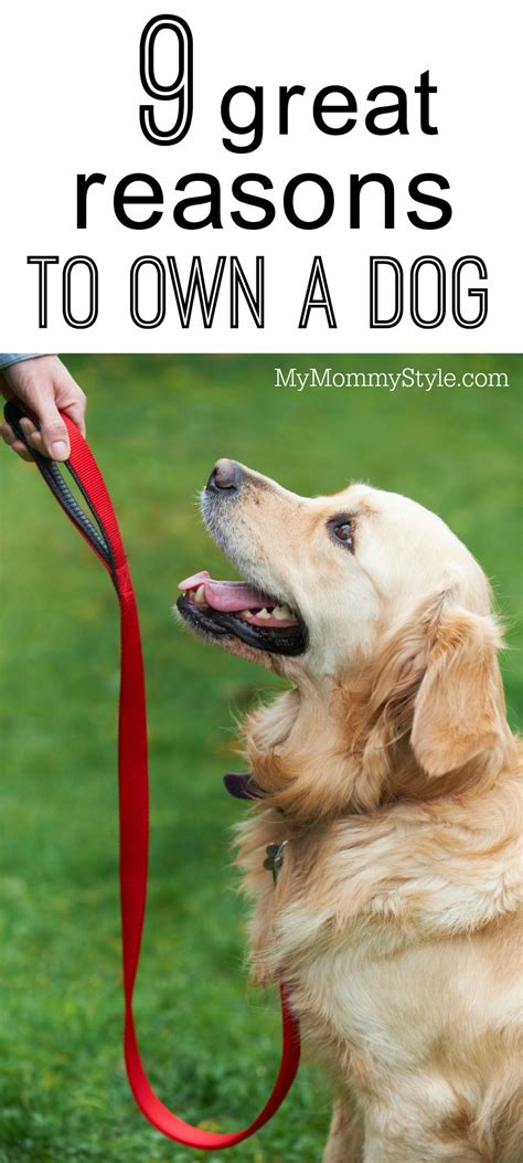 9 good reasons to own a dog - My Mommy Style