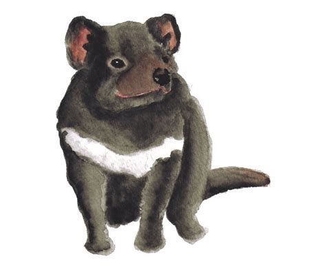 You can also upload and share your favorite tasmanian devil wallpapers. Free Tasmanian Devil Cliparts, Download Free Clip Art ...